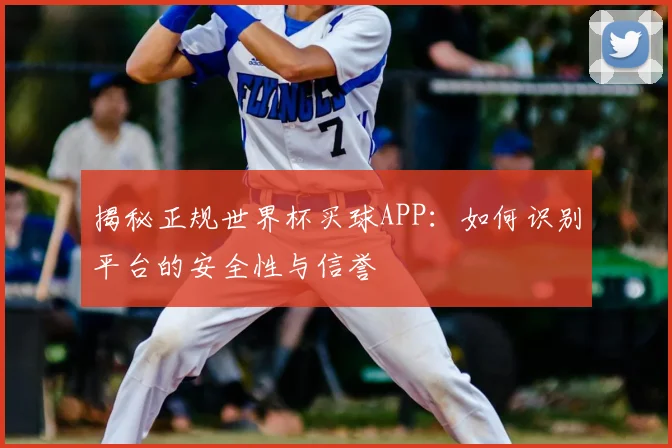 揭秘正规世界杯买球APP：如何识别平台的安全性与信誉