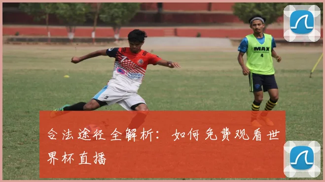 合法途径全解析：如何免费观看世界杯直播