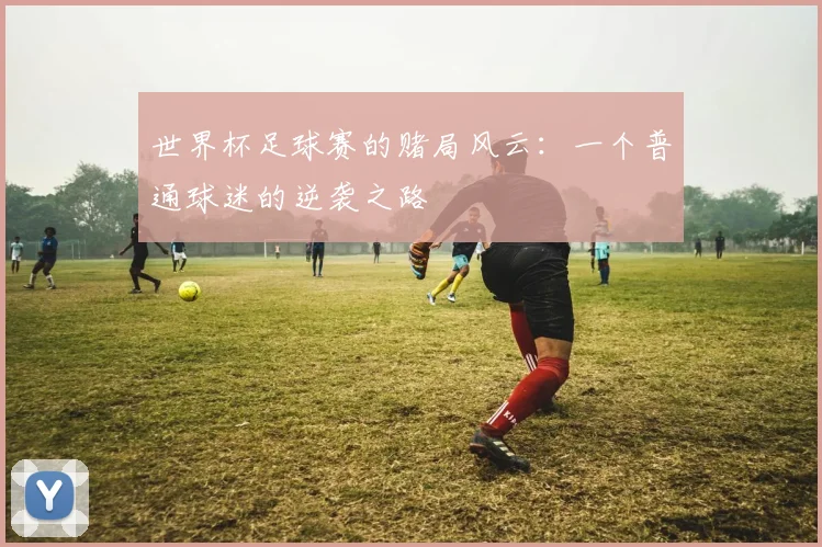 世界杯足球赛的赌局风云：一个普通球迷的逆袭之路
